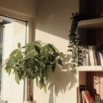 resized_14_api