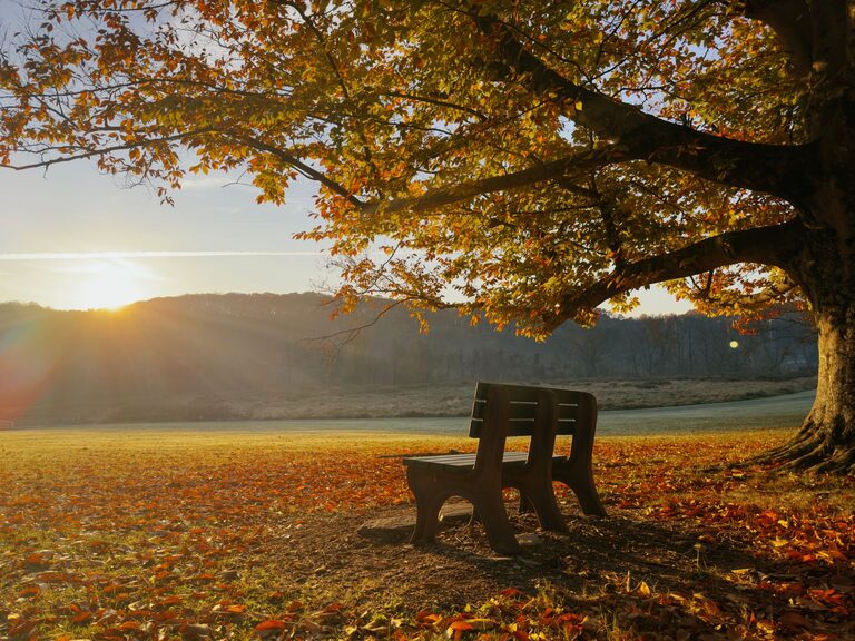 resized_34_api